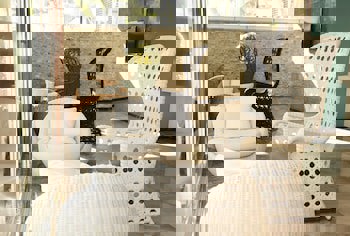 Kleopatra Suit Hotel Only Adult