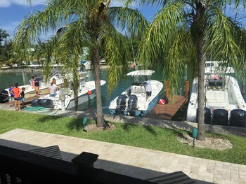 Dolphin Cove - Adults Only