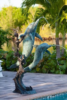 Dolphin Cove - Adults Only