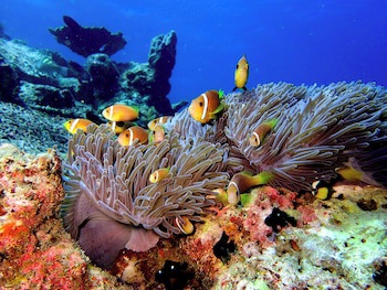 Eriyadu Island Resort