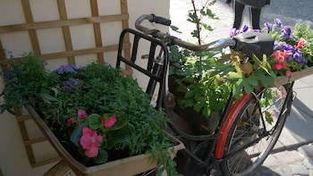 Chopin Boutique B&B