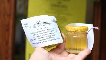 Chopin Boutique B&B