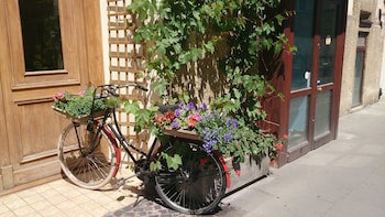 Chopin Boutique B&B