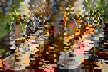  Piril Hotel Thermal Beauty SPA