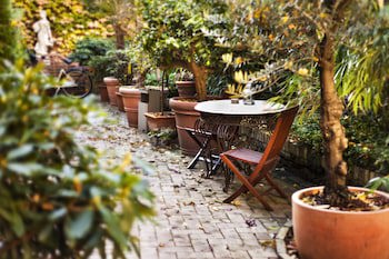 Garden Boutique Hotel Berlin - Mitte galeri fotoğrafı