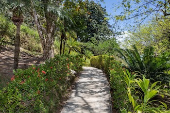 Tiki Villas Rainforest Lodge & Spa
