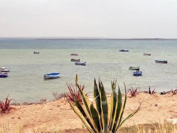 Dar Elbidha