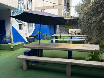 Blue Pepper Chapultepec