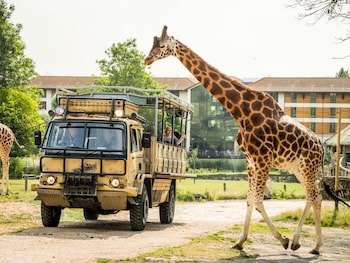Chessington Safari Hotel