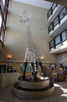 Chessington Safari Hotel