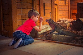 Chessington Safari Hotel