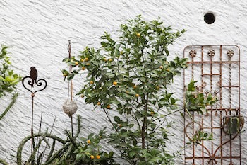 Caffe Dell Arte Boutique Rooms