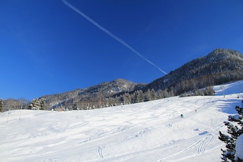 Der Larchenhof