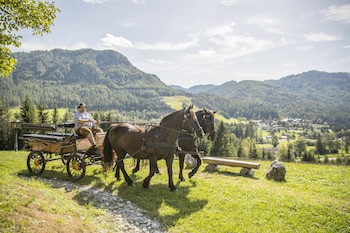 Der Larchenhof