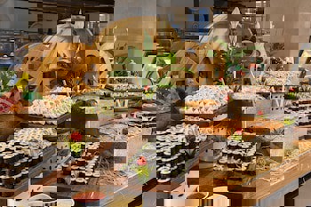 Kaya Palazzo Golf Resort