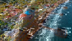 Crystal Flora Pearl Collection