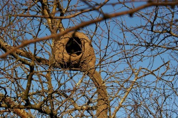 Estancia Rio De Las Aves Lodge