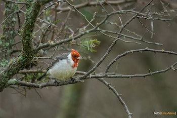 Estancia Rio De Las Aves Lodge