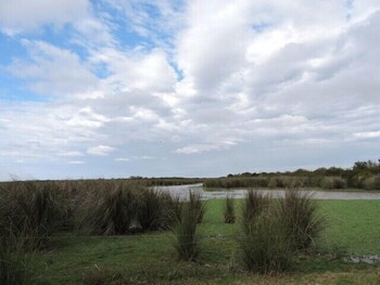 Estancia Rio De Las Aves Lodge