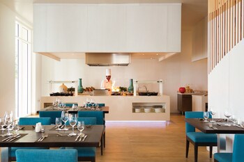 Hyatt Ziva Rose Hall - All Inclusive