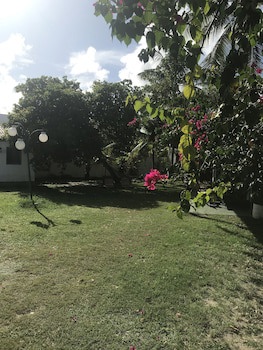Beach Life Porto De Galinhas