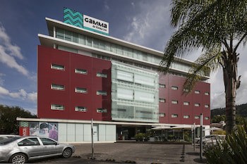 Gamma Morelia Belo