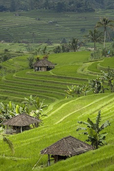 Cempaka Belimbing Villas