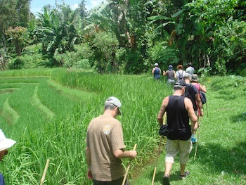 Cempaka Belimbing Villas
