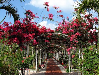 Resort Hotel Kume Island