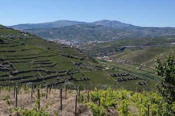 Quinta De Casaldronho Wine Hotel