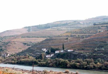 Quinta De Casaldronho Wine Hotel