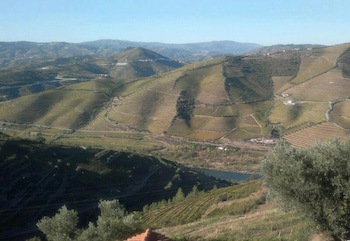 Quinta De Casaldronho Wine Hotel