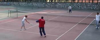 Tennis court