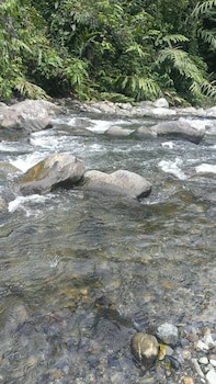 Kinabalu Poring Vacation Lodge - Hostel