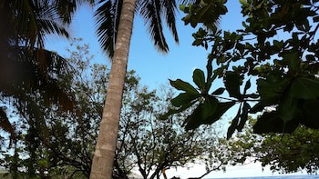 Costambar