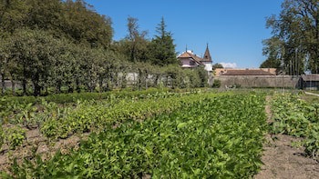 Chateau De Bossey