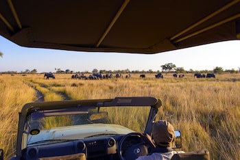 Namushasha River Lodge