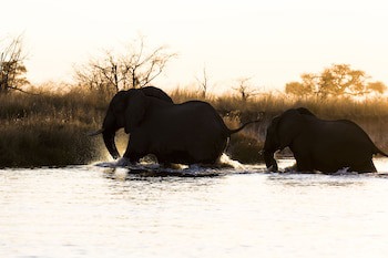 Namushasha River Lodge