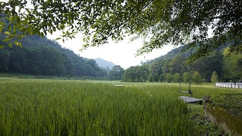 Ella Jungle Resort