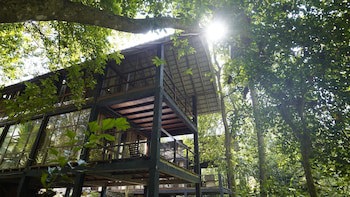 Ella Jungle Resort