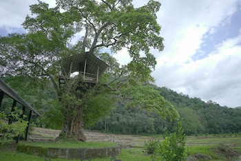 Ella Jungle Resort