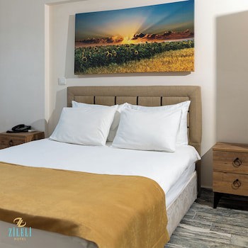 Hotel Zileli galeri fotoğrafı