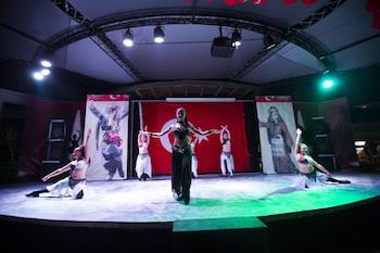 Theater show