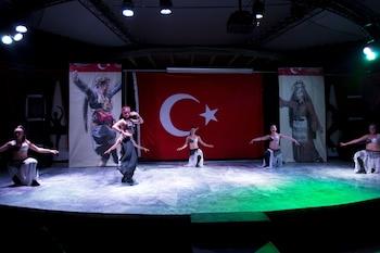 Theater show