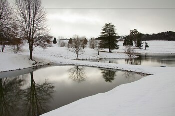 Whispering Waters