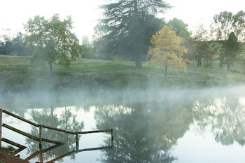 Whispering Waters