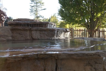 Whispering Waters