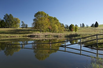 Whispering Waters