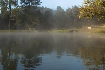 Whispering Waters