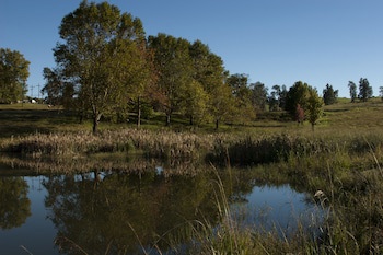 Whispering Waters